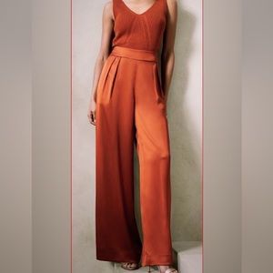 Banana Republic Factory Pleated Wide-leg Pant Rustic Orange
